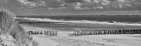 Panorama van de Zeeuwse kust