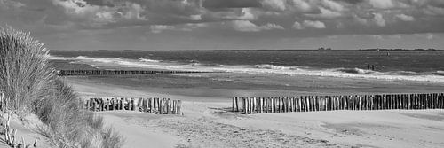 Panorama van de Zeeuwse kust