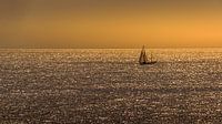 Segeln auf einem goldenen Meer