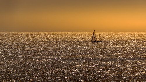 Sailing on a golden sea