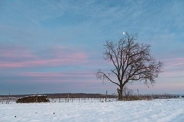 Tree in winter landscape and moon by Alexander Kiessling