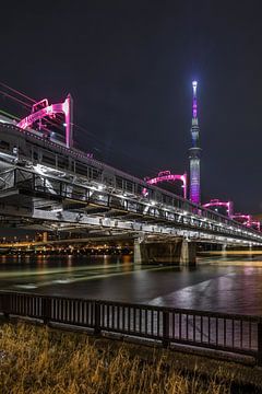 Tokyo Skytree, Sumida Rivier Wandeling van Melanie Viola