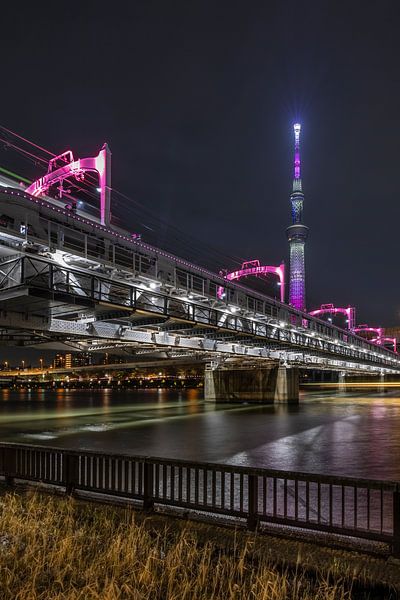 Tokyo Skytree, promenade de la rivière Sumida par Melanie Viola