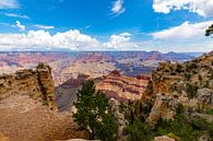 Grand Canyon - vergezicht van Remco Bosshard thumbnail
