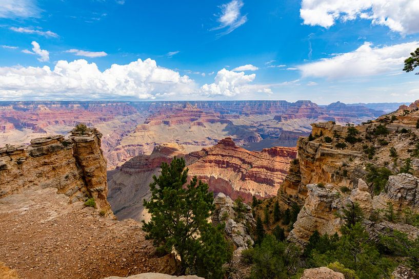 Grand Canyon - vergezicht van Remco Bosshard