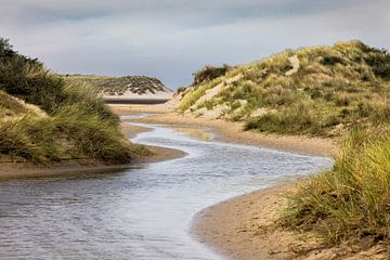 De Slufter is a unique nature reserve in the dunes of Wadden Island Texel