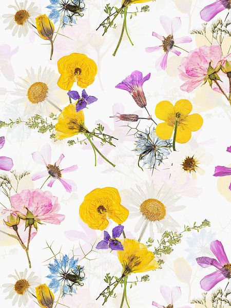 Bouquets de fleurs pressées du milieu de l'été par Floral Abstractions