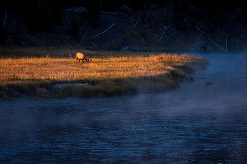 Ontbijt voor het elk