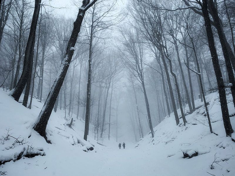 Winter Vibes by Hello Pompoyo
