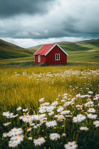 Rood Huis Weide