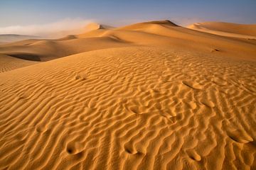 Mist in de woestijn van Achim Thomae