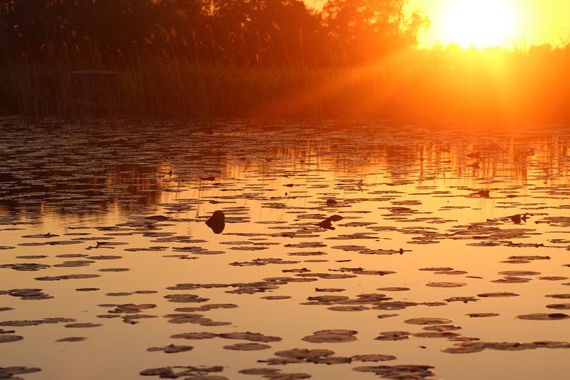 sunset  by loes spit