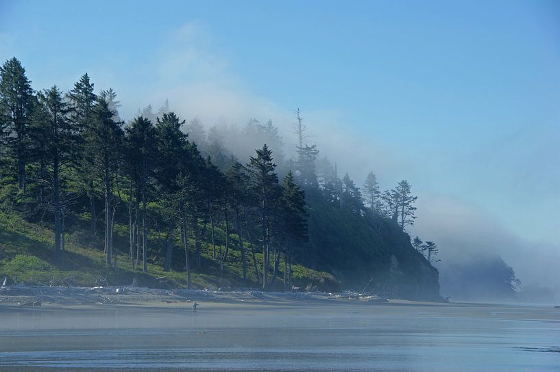 Brouillard marin à Ruby Beach, États-Unis par Jeroen van Deel