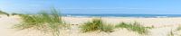 Panoramisch zicht op het strand in de zomer van Sjoerd van der Wal thumbnail