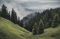 Bayerische Berge