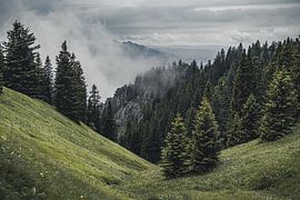Bayerische Berge von Sebastian Witt