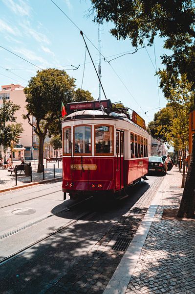 Lisbon by Hello Pompoyo