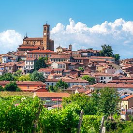 Het dorp Grana Monferrato met een wijngaard op de voorgrond, Piemonte van Stefano Orazzini