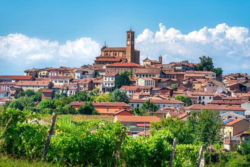 Grana Monferrato village with vineyard in foreground, Piedmont