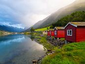 Rode blokhut aan de fjord in Olden, Noorwegen van Teun Janssen thumbnail