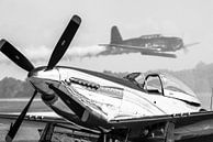 Fraaie warbirds zijn te zien tijdens airshows in de Verenigde Staten. Een North American Aviation P- van Jaap van den Berg thumbnail