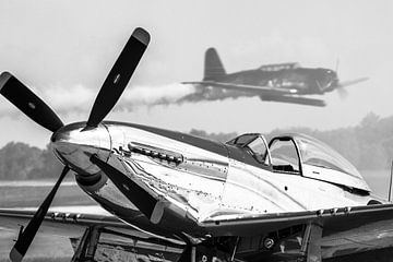 Beautiful warbirds can be seen during airshows in the United States. A North American Aviation P-51  by Jaap van den Berg