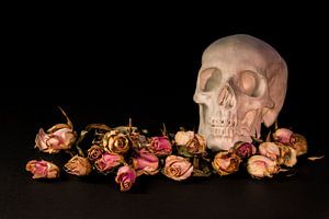 Rozen met schedel