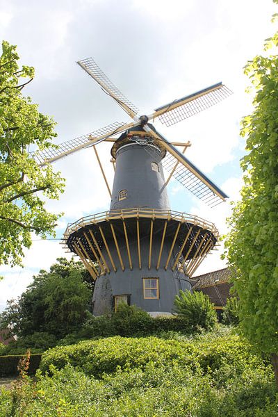 Molen de Windhond by Rob Hendriks