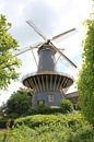 Molen de Windhond by Rob Hendriks thumbnail