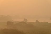 Zonsopgang over de IJssel tijdens een mooie herfstochtend van Sjoerd van der Wal Fotografie thumbnail