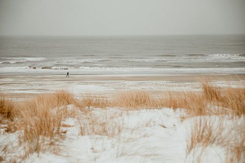 Loper op het winterstrand van Noordwijk