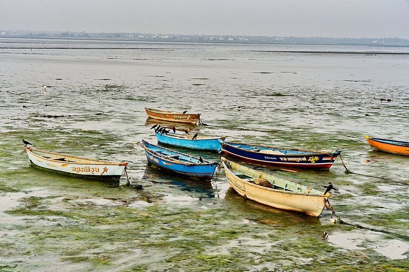 Boats stranded at low tide in Diu by Frank Photos