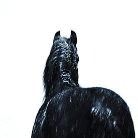 The friesian horse... sur Albertha  de Vries