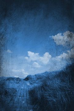 At the End of the Path by Andrea Meyer