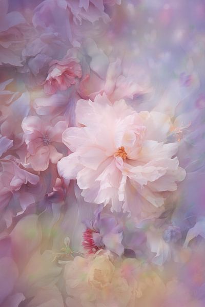 A dreamy close-up of soft pink peonies and petals in a floating pastel mist. by Joriali photography and paintings