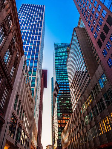 skyline Frankfurt am Main