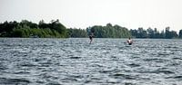Peddelsurfen op de plas