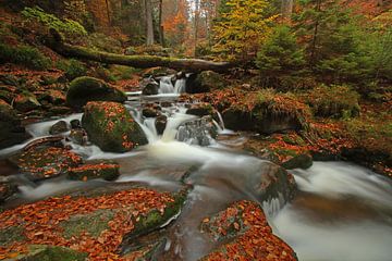 Waterfall in the Harz Mountains by Heiko Lehmann