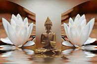 Boeddha van Violetta Honkisz thumbnail