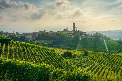 Barbaresco village with medieval tower and Langhe vineyards
