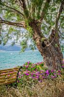 Relax and enjoy the view