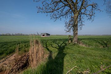 Schuur in weiland 01 by Moetwil en van Dijk - Fotografie