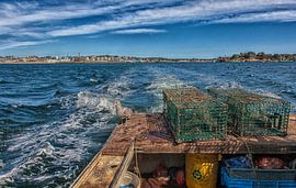 bilker  by Hans Will