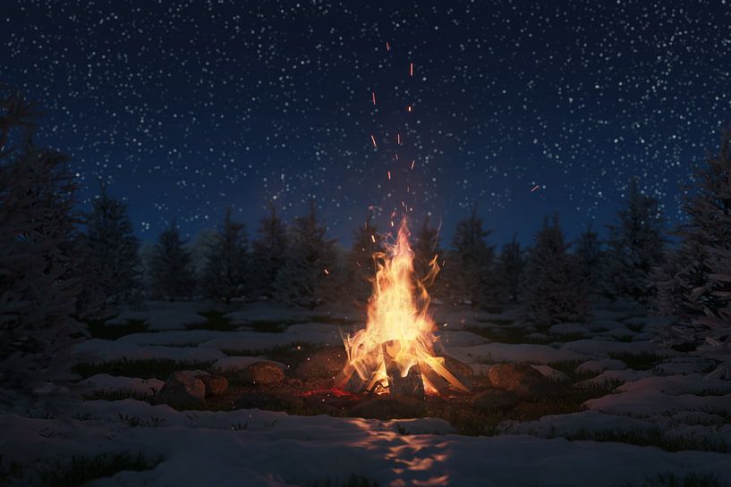 brandend kampvuur omgeven door dennenbomen en sneeuw 's nachts van Besa Art