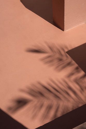 Schaduw van palmbladeren op terracotta grond | reisfotografie print