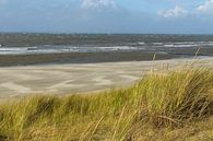 Strand auf der Insel Vlieland Wadden in der niederländischen Wattenmeerregion von Sjoerd van der Wal Fotografie Miniaturansicht