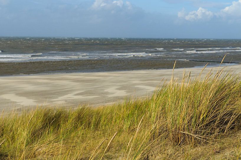 Strand auf der Insel Vlieland Wadden in der niederländischen Wattenmeerregion von Sjoerd van der Wal Fotografie