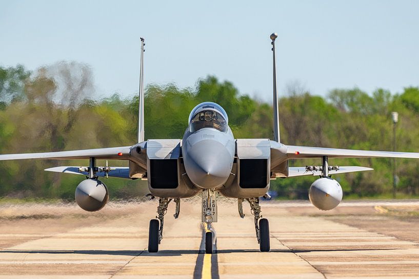 Milice du Bayou McDonnell Douglas F-15C Eagle. par Jaap van den Berg