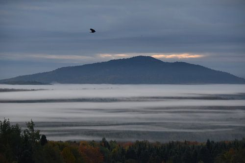 Een mistige herfstmorgen