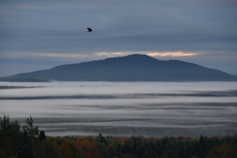 A misty autumn morning by Claude Laprise